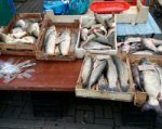 Ростовчанам продавали рыбу без документов из заброшенной «Газели»