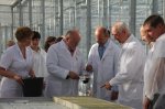 В Краснодарском крае открылся новый тепличный комплекс