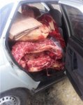 В Ростовской области задержали контрабандиста с говядиной