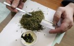 На Кубани женщина использовала марихуану как приправу для пищи