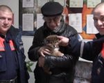 В Новошахтинске спасатели достали щенка из плафона