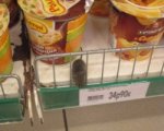 В ростовском гипермаркете «О'кей» покупатель обнаружил живую мышь
