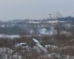 Ростовчанка пожаловалась на горящую свалку в Октябрьском районе