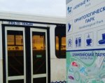 Старые автобусы из Ростова отправились возить сочинских пассажиров