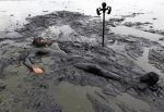 Мужчина утонул в грязевой жиже на ГРЭС в Ростовской области