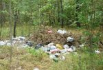 В Белокалитвинском районе начала свою деятельность общественная организация природоохраны и экологического контроля 