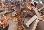 Раздавили 20 тонн свежих яблок в Ростовской области, предназначавшихся Крыму