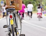 Ростовчанка предложила властям создать в городе велодорожки