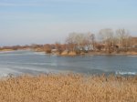 На берегу реки Мертвый Донец в Кумженской роще нашли труп девушки