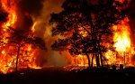 Хочется напомнить гражданам, что с введением пожароопасного режима на территории Белокалитвинского района в лесу категорически запрещается