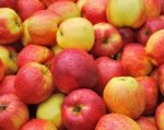 Донской полицейский пытался организовать перевоз яблок из Польши