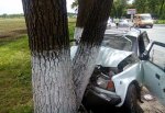 Врезавшийся в дерево в г. Шахты водитель «семерки» скончался в больнице, версии причин ДТП множатся
