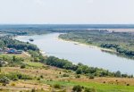 Рыбак попался с 67 селедками и 3 сетями в хуторе Пухляковском на Дону