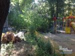 В Ростове дерево упало на детскую площадку и придавило автомобиль