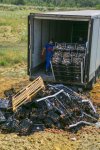 10,6 тонн санкционных персиков раздавили бульдозером под городом Шахты