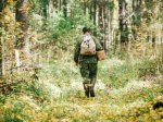 В Ростовской области грибники нашли труп без конечностей