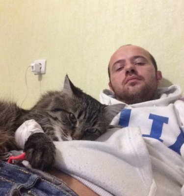 Ростовчанин спас кота, сбитого на улице Нансена