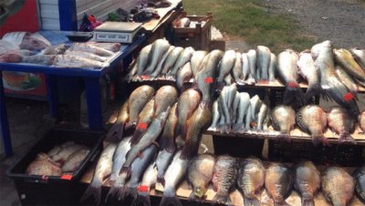 Продавца заставили уничтожить более 140 кг рыбы в Ростове