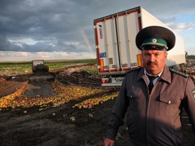 В Ростовской области уничтожили полтонны санкционных овощей и фруктов