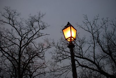На территории Богураевского поселения устанавливаются светодиодные светильники
