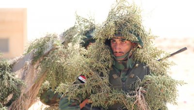 Египет опроверг информацию о своих военных в Сирии