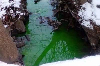 Ручей в Безымянной балке окрасили в изумрудно-зеленый цвет 