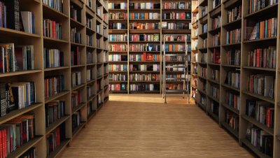 Библиотека имени Лермонтова приглашает белокалитвинцев за книгами на новогодних каникулах