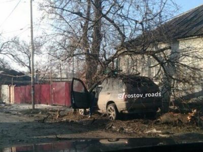 В Ростове водитель BMW снес два дерева и остался жив