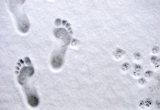 Полуторагодовалый ребенок гулял на морозе в одних ползунках и обморозил руки и ноги