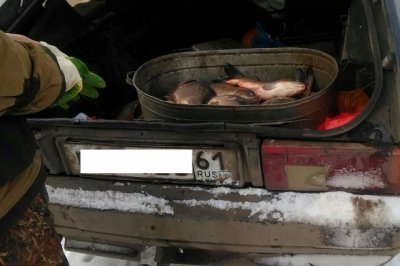 В Ростовской области хлоркой залили 75 кг рыбы