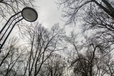 Власти Ростова предлагают горожанам выбрать место для нового парка и цвет фонарей