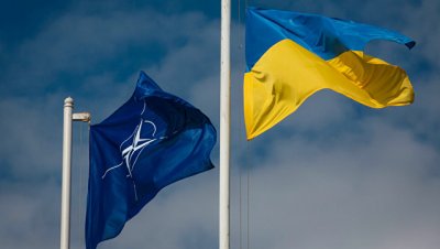 Данные Gallup опровергли слова Порошенко о поддержке украинцами НАТО