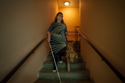260 тысяч рублей выделено на содержание собак-поводырей донских инвалидов