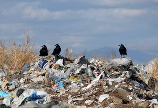 Администрацию г. Шахты через суд заставляют убрать свалки и мусорники в городе