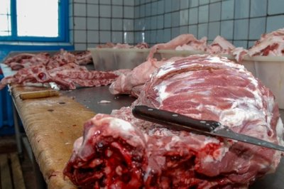 Хозяина магазина в Ростовской области заставили уничтожить свинину и пельмени