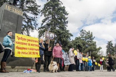 Зоозащитники в центре Ростове собирали подписи и требовали ужесточить законодательство