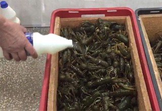 500 живых раков, рыбца, тарань и леща залили хлором на рынке в Ростове