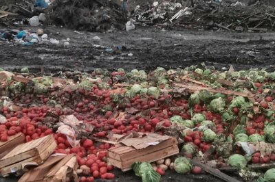 Ростовской области уничтожили 3,8 тонны опасных овощей