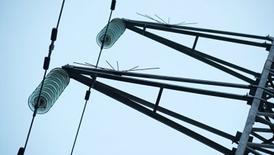 Сильный шторм оставил без электричества более пяти тысяч домов в Эстонии