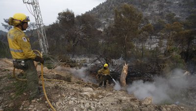На острове Ибица локализовали лесной пожар