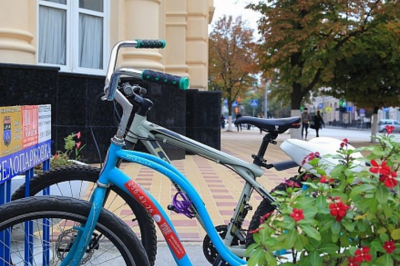 Ростовчане предпочли велосипеды книгам и журналам