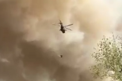Лесной пожар в Усть-Донецком районе охватил уже 4200 гектаров