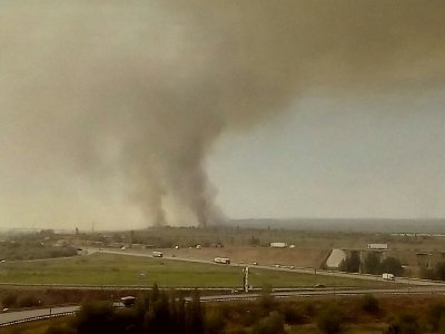 Пожарный поезд тушит пять гектаров горящего камыша под Ростовом