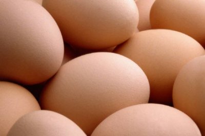 В детском саду Новочеркасска нашли опасные куриные яйца