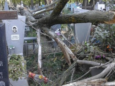 Ураганный ветер повалил деревья и повредил могилы в Батайске