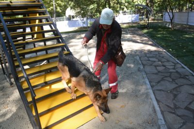 Первая площадка для выгула собак появилась в Первомайском районе Ростова