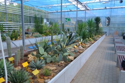 В Ботаническом саду ЮФУ завершился капремонт центральной оранжереи