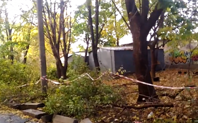 «Уничтожаются сердце и легкие дома!»: жители Турмалиновской жалуются на вырубку деревьев в их дворе