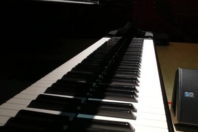 В Ростове для колледжа искусств купят концертный рояль почти за 10 млн рублей