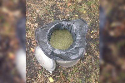 Житель Новочеркасска прятал наркотики в будке своей собаки